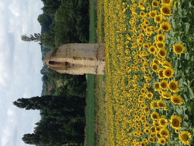 Grande maison de vacances 12 personnes Gers