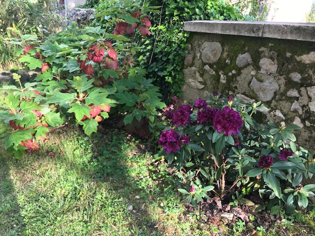 Location grande maison de vacances 12 personnes Gers