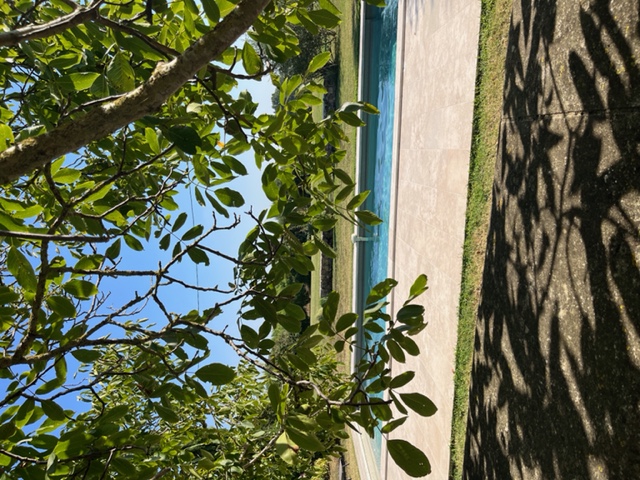Large Cottage Rental with Pool Gers
